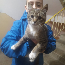 Andrey 42 фото 1