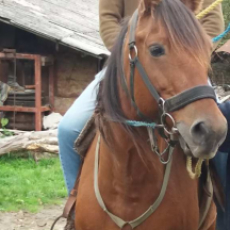 Роман 48 фото 1