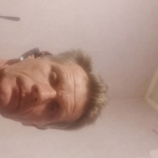 роман 54 фото 1