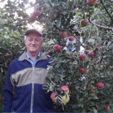 Лев 71 фото 1