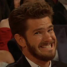 Диомед 31 фото 1