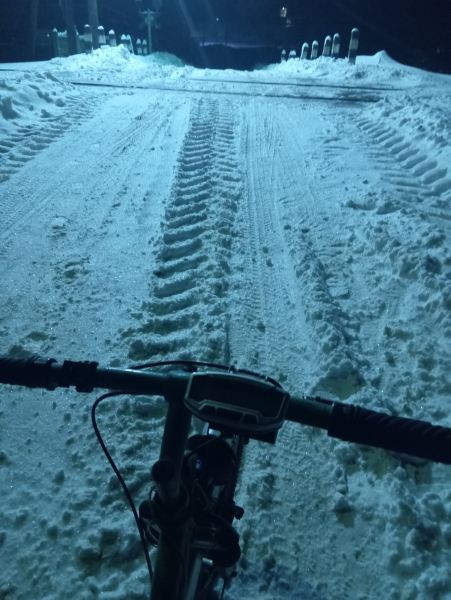 Роман 33 фото 1