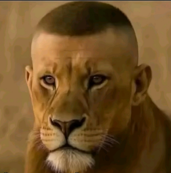 Serhii 37 фото 1