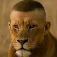 Serhii 37 фото 1