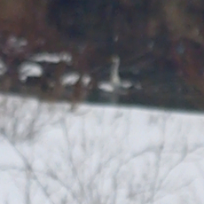 Юра 35 фото 1