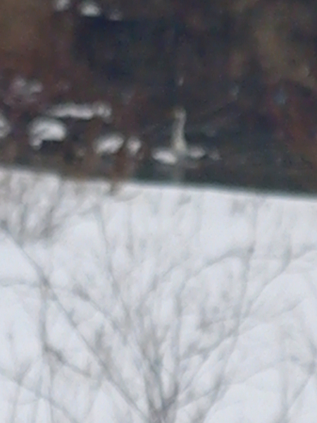 Юра 35 фото 1