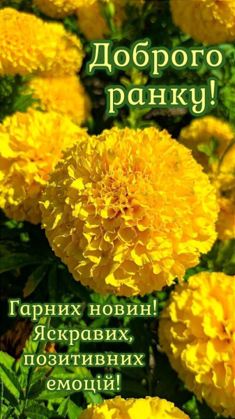 Рома 45 фото 5